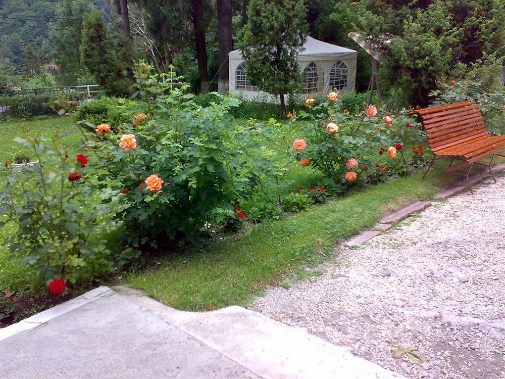 Vila Camelia Sinaia Exterior foto