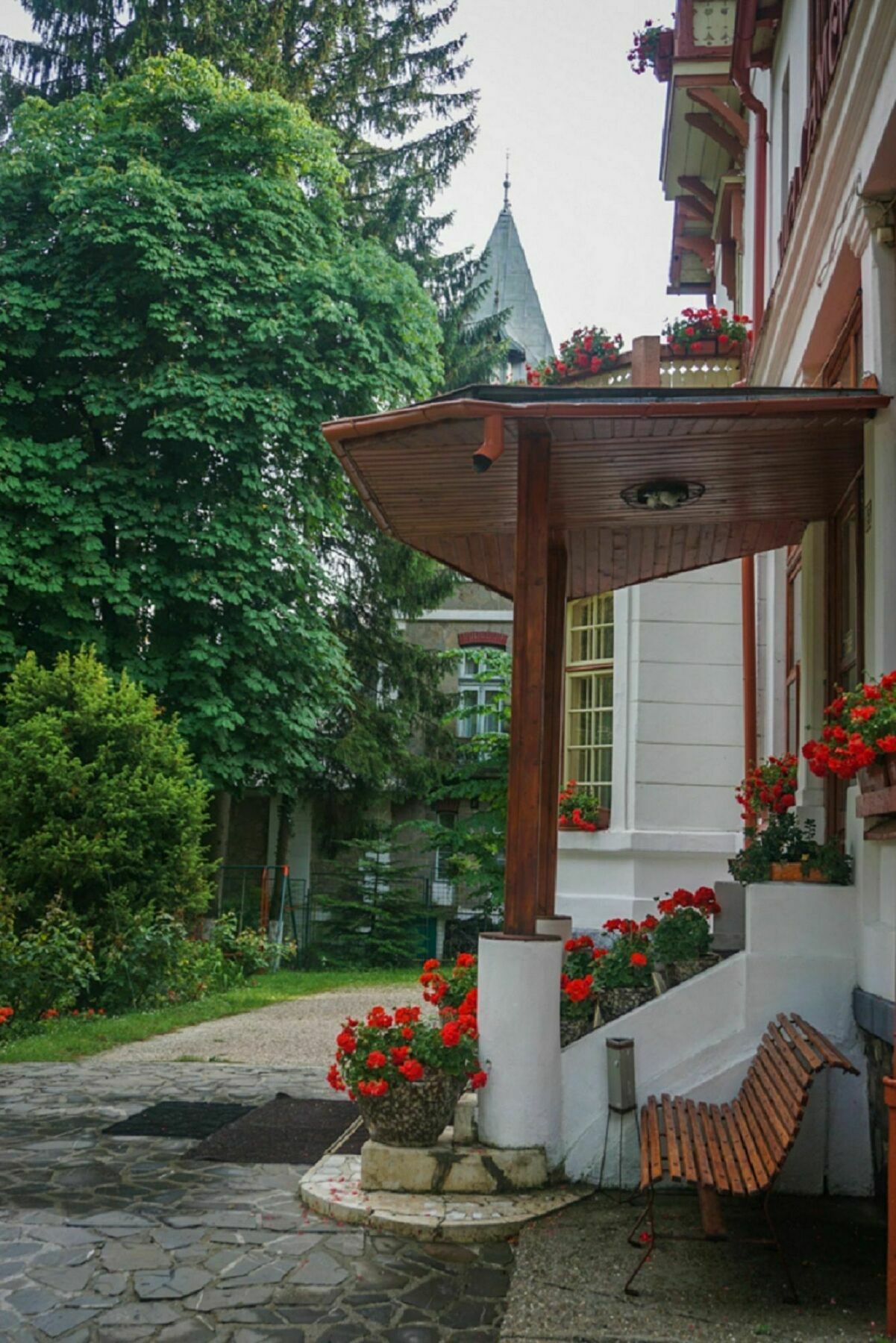 Vila Camelia Sinaia Exterior foto